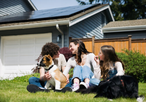 A family plays with their dogs in the front yard of their home after finding the best solar provider to install solar panels